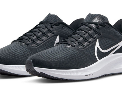 Nike Air Zoom Pegasus 39 Review