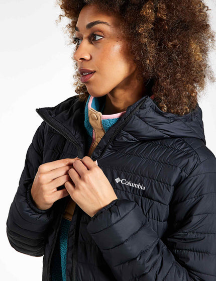 Columbia Silver Falls Hooded Insulated Jacket - Blackimage4- The Sports Edit